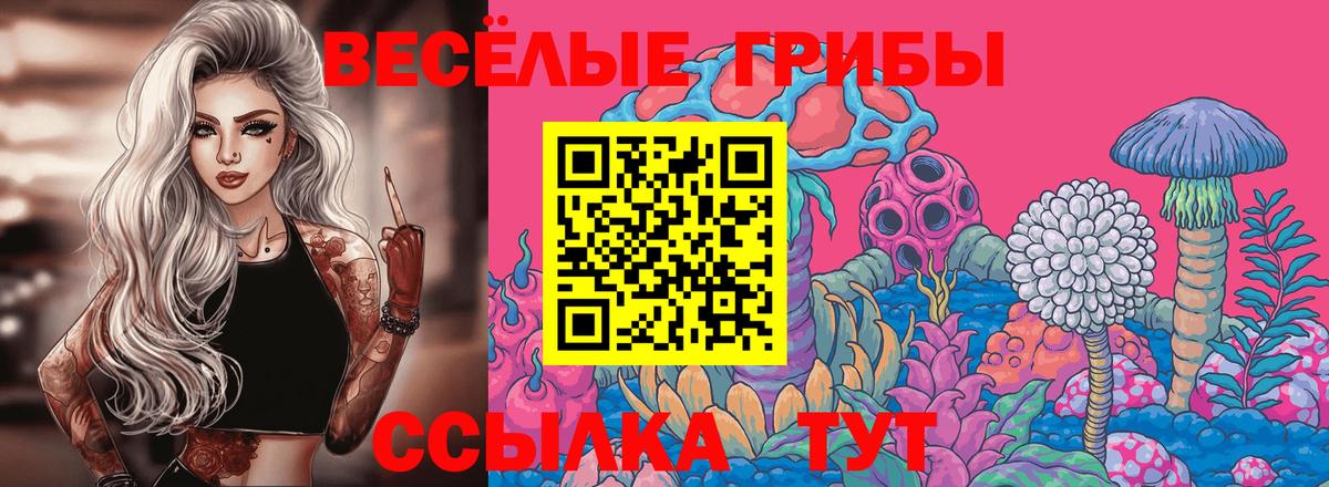 Сорочинск  Псилоцибиновые грибы Cubensis  купить  цена  Вход с VPN 
